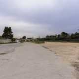 Dalle abitazioni parte poi via del Pantano, una strada asfaltata solo per met� che conduce agli archi die due cavalcavia...